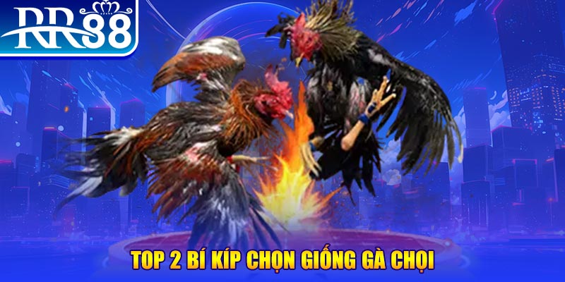 km938 mục tiêu của người chơi trong baccarat là gì？