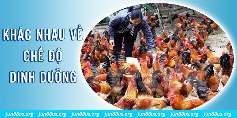 km938 xổ số miền nam thứ năm hàng tuần