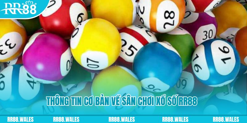 km938 đá gà hôm nay