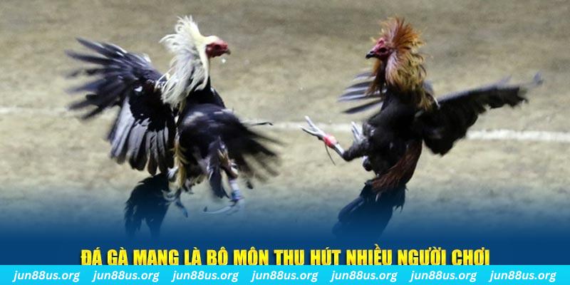 km938 đăng nhập lô đề hàng đầu