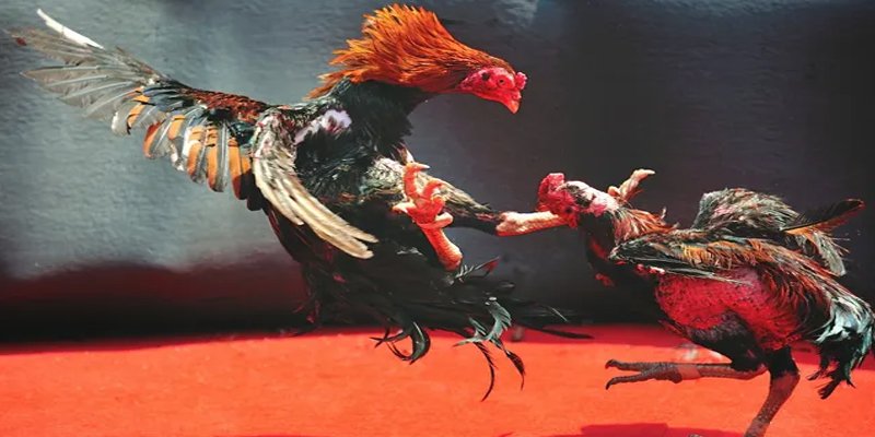 km938 bắn cá h5 chơi ngay