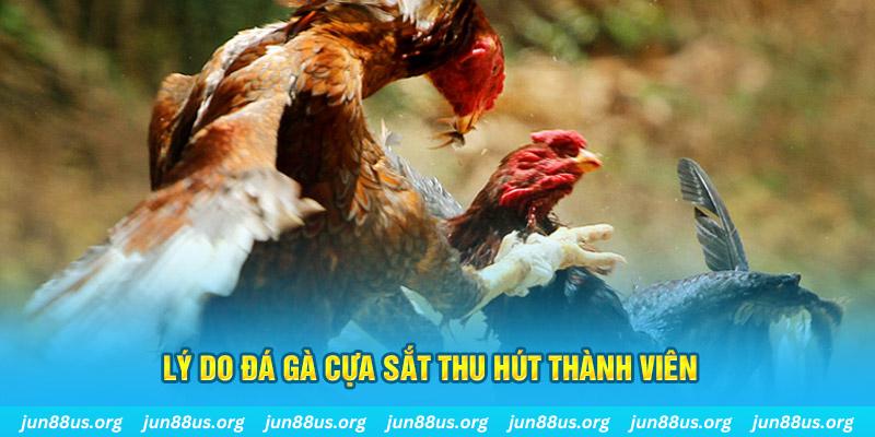 km938 chiếm slot là gì