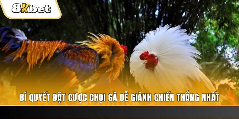 km938 xổ số thứ hai hàng tuần