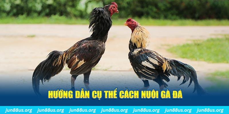 đăng nhập sòng bạc số 1